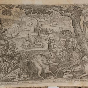 Raimondi, Eugenio - Of the Hunts summarized by Doctor Francesco Bardi