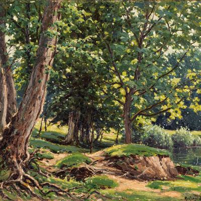 Leafy Forest