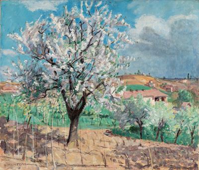 Primavera