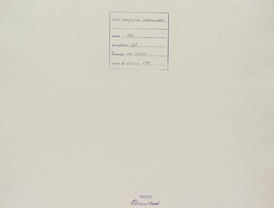 Composition (1977), Fotografia in bianconero