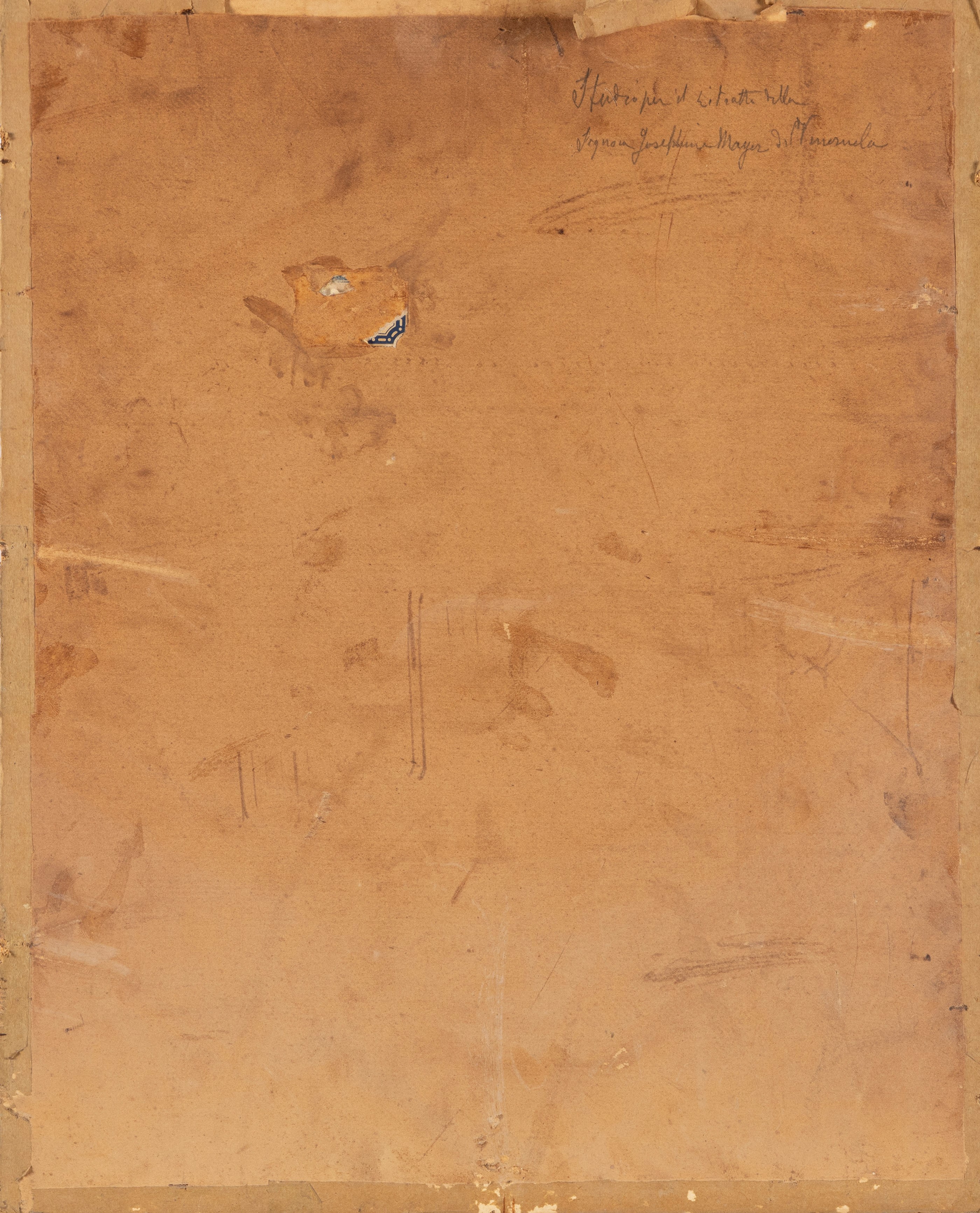 Vincenzo Caprile - Studio per il Ritratto della Signora Giuseppina Mayer del Venezuela