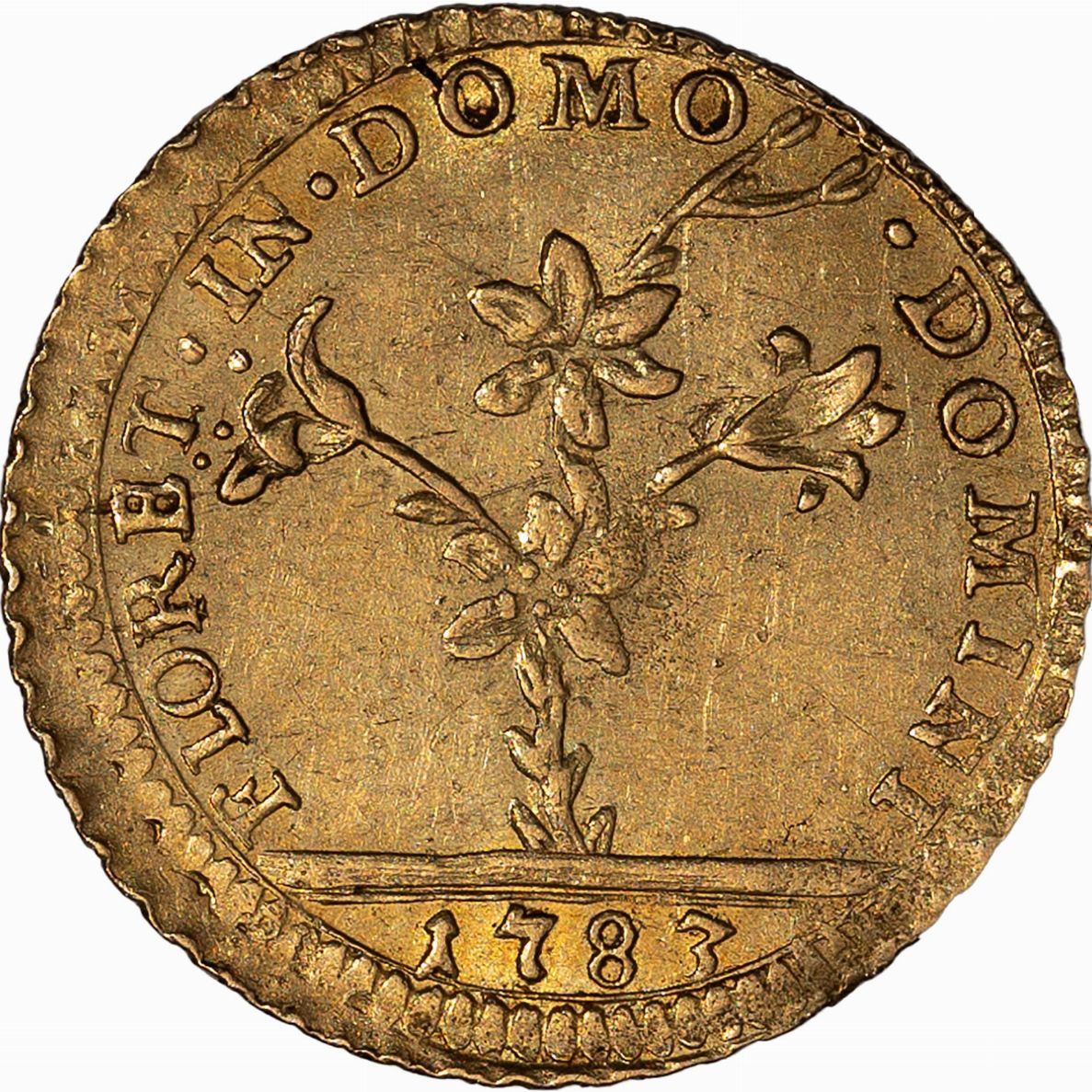 Stati Pontifici, Pio Vi, 1775-1799 - Stati Pontifici, PIO VI, Mezza Doppia Romana, 1783