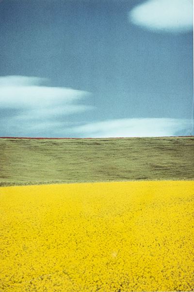 Paesaggio