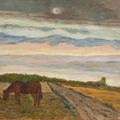 Ronzino al Pascolo nella Campagna