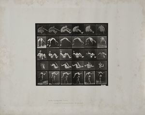 Muybridge Eadweard - Animal locomotion (Plate n. 522)
1887
Co