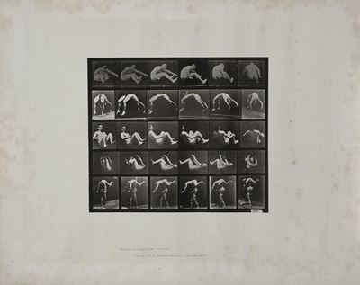 Animal Locomotion (plate N. 522) 1887 Co
