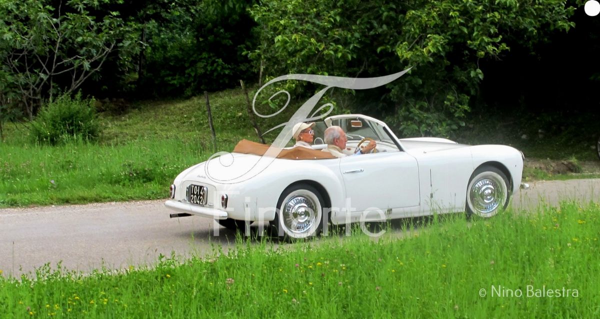 Cisitalia 202 Cabriolet Gran Sport (Stabilimenti Farina)