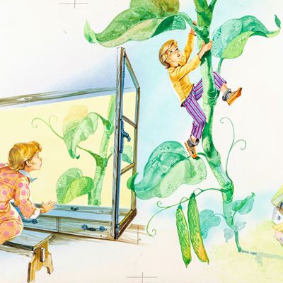Giacomino e il fagiolo, tempera su cartone