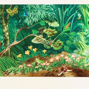 Dodici racconti meravigliosi della Regina Fabiola