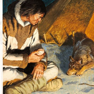 Nardini, Illustrazione originale per 'Zanna Bianca' - tempera su cartone