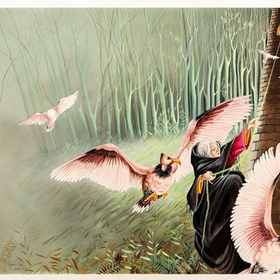 Raperonzolo, tempera su cartone