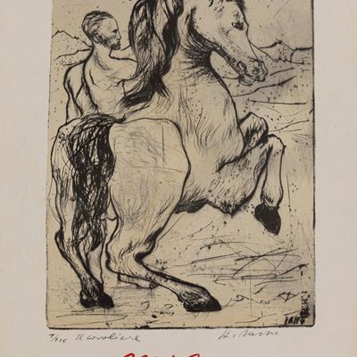 Il Cavaliere