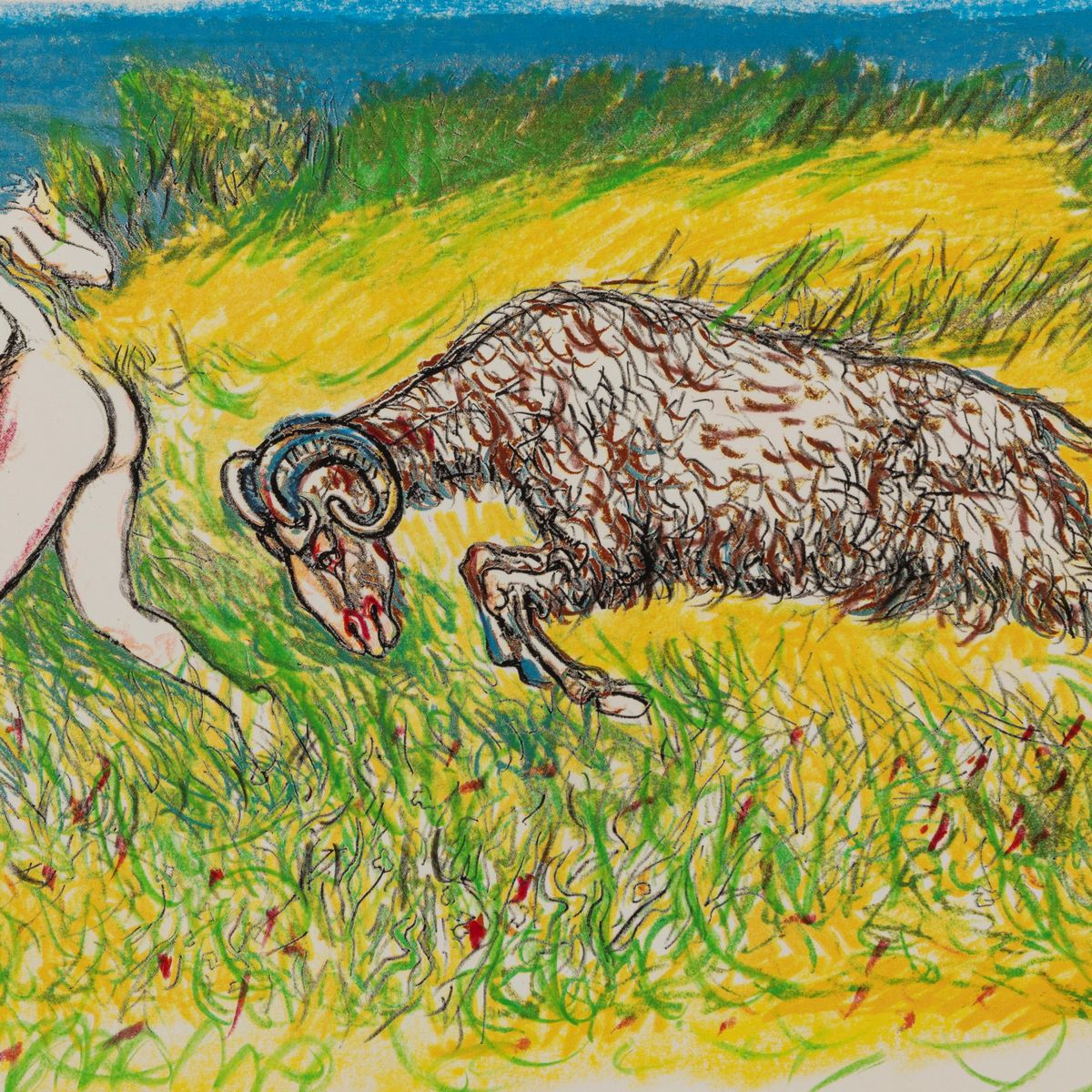 Segni Zodiacali