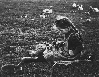 L'enfant Aux Oisillons