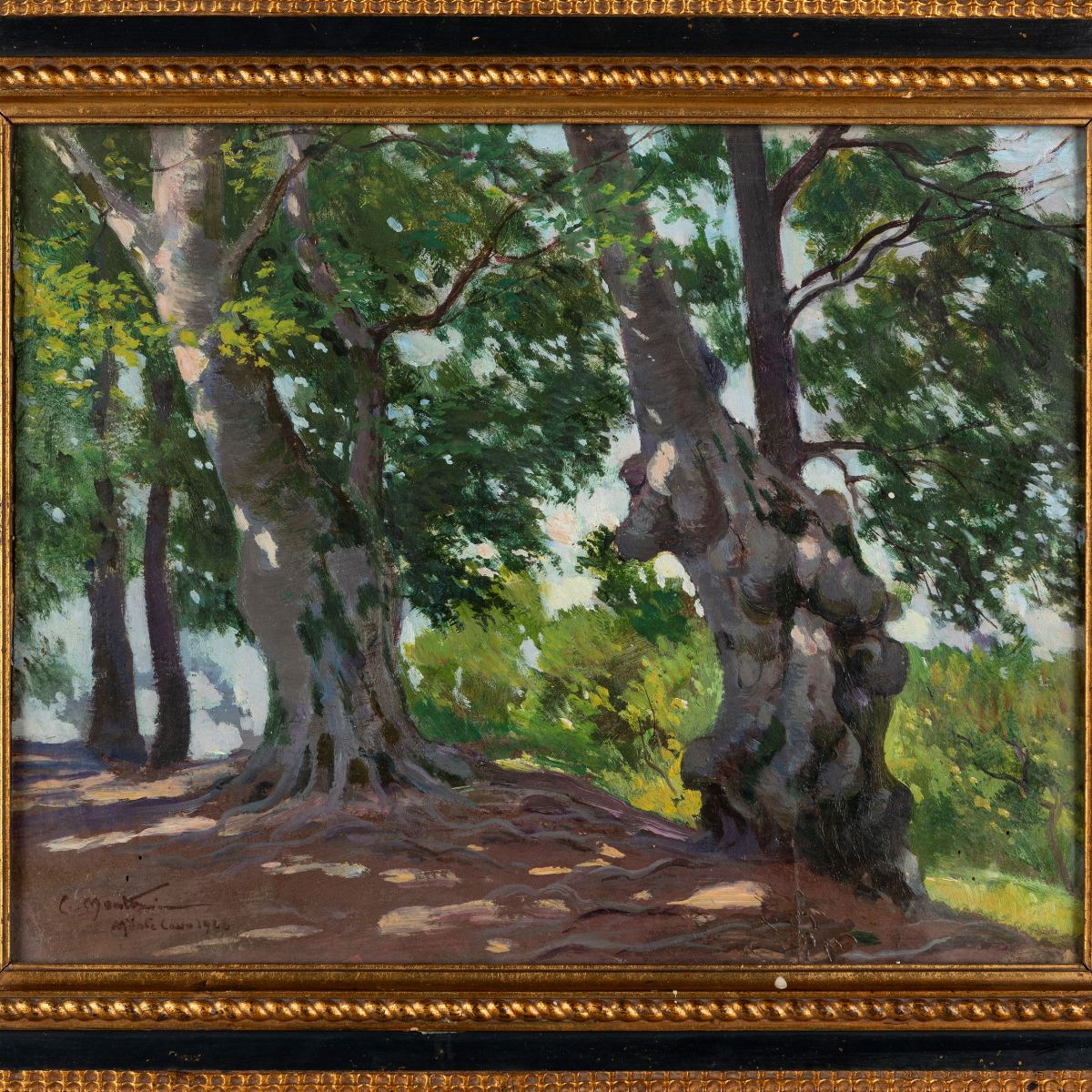 Carlo Montani - Vecchi Tronchi in Monte Cavo