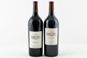 Bolgheri - Bolgheri - Super Tuscan