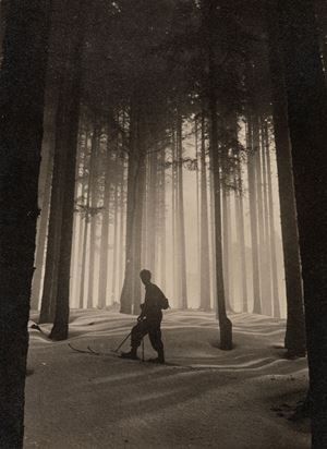 La cattedrale gotica