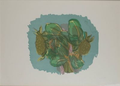 Vegetazione