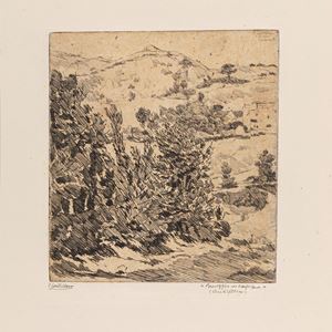 Paesaggio in Carpegna