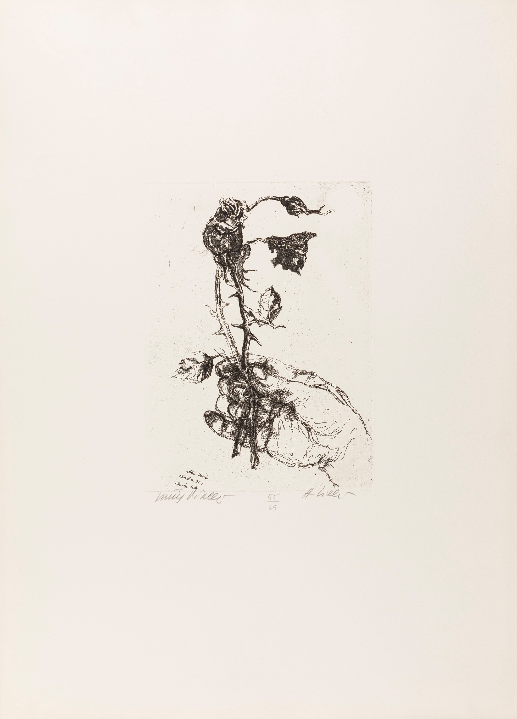 Piacesi Grafica (Alla mia Lilly; Rose novembrine; Rose; Casolare marchigiano; Violenza; Venerdì; ...