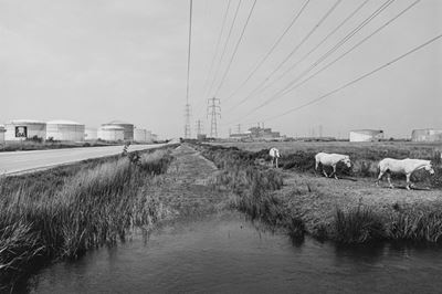 Three Horses, Fos-sur-mer