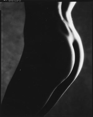 Untitled (Nude)