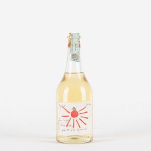 Levi Serafino Grappa