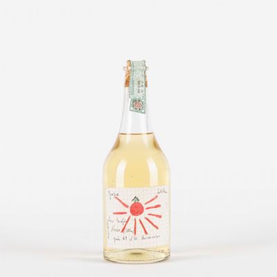 Levi Serafino Grappa