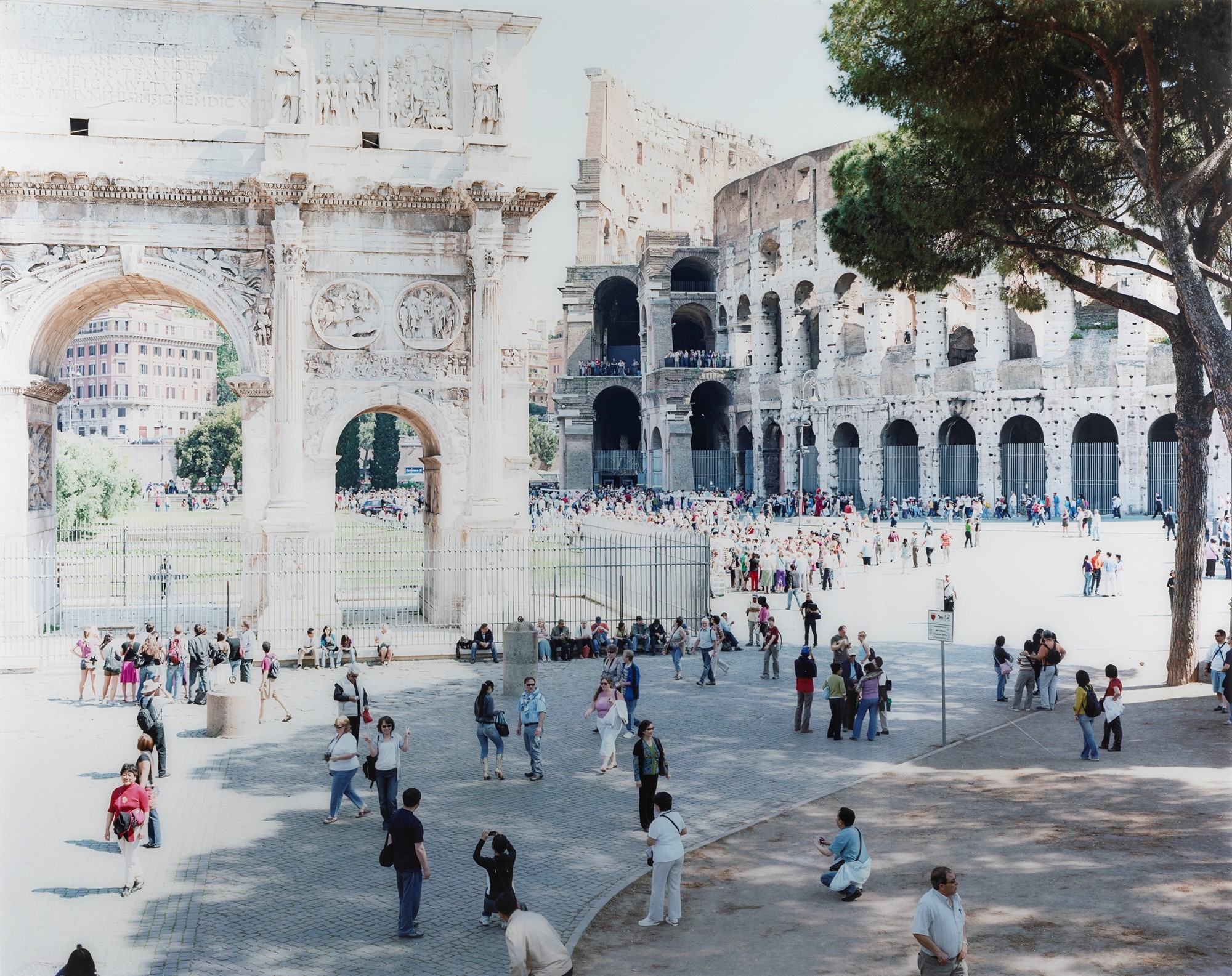 Massimo Vitali - Titus Arch Pine Tree #3092, Stampa cromogenica vintage flush-mounted su allumini...
