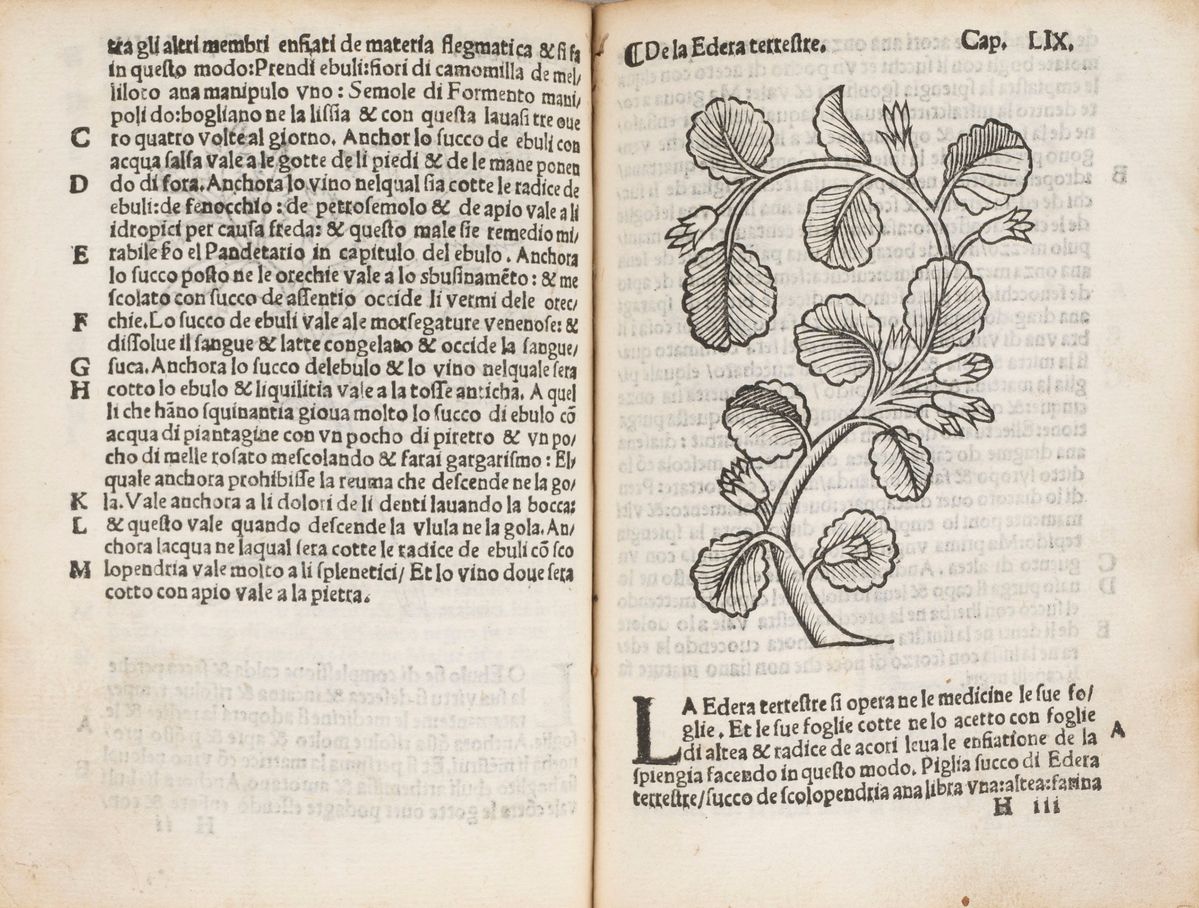 Arnaldo De Vilanova - Herbolario Volgare, nel Qual e le Virtu De le Herbe: & Molti Altri Simplici...