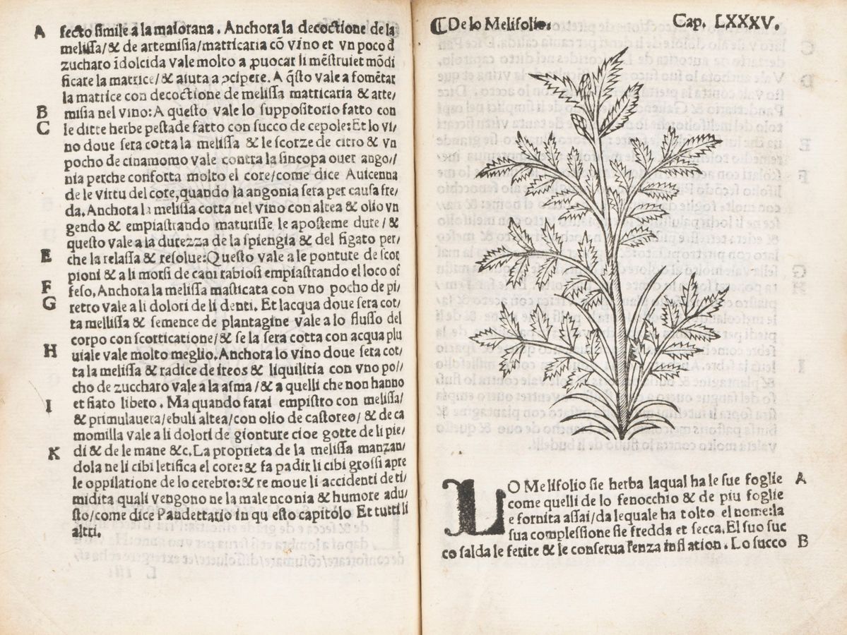 Arnaldo De Vilanova - Herbolario Volgare, nel Qual e le Virtu De le Herbe: & Molti Altri Simplici...