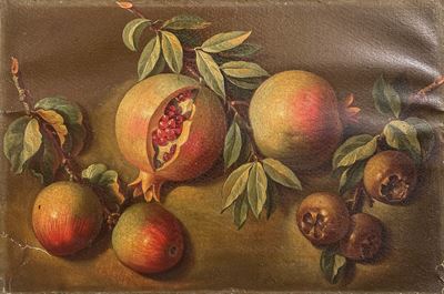 Serie di Otto Studi per Frutta e Ortaggi, Secolo XX