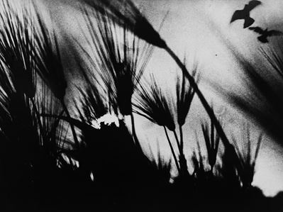 Poesia, stampa alla gelatina ai sali d'argento, 1968