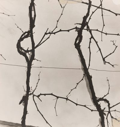 Senza titolo, Stampa vintage alla gelatina ai sali d'argento