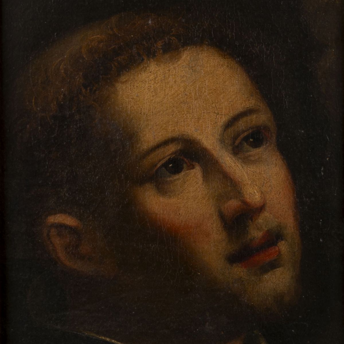 Scuola Italiana, Secolo XVII - Testa di Santo