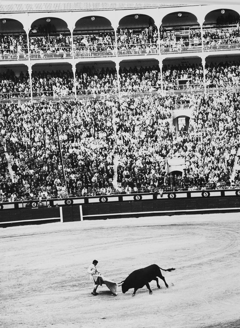 Senza titolo (Corrida)