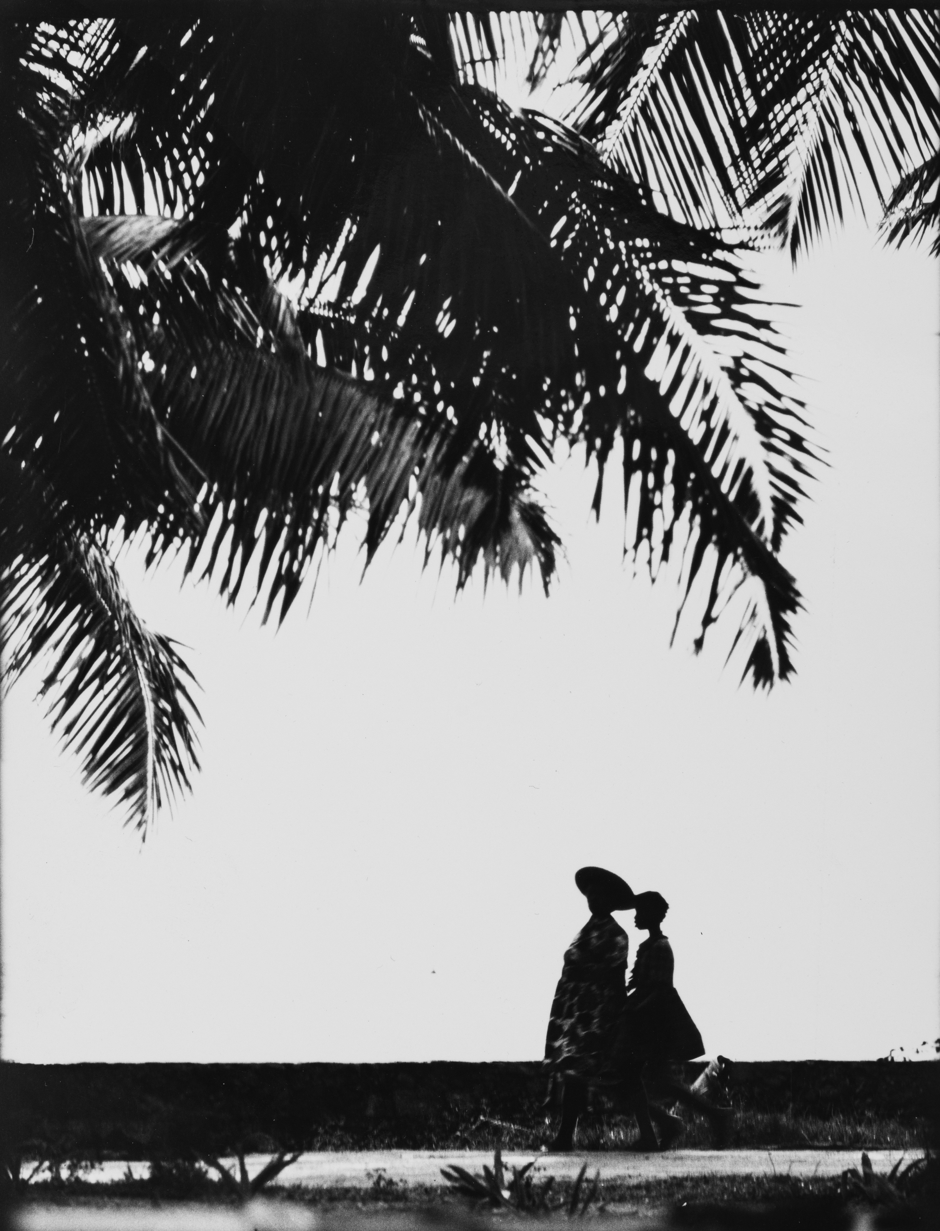 Vittorio Garatti - Senza Titolo (cuba)