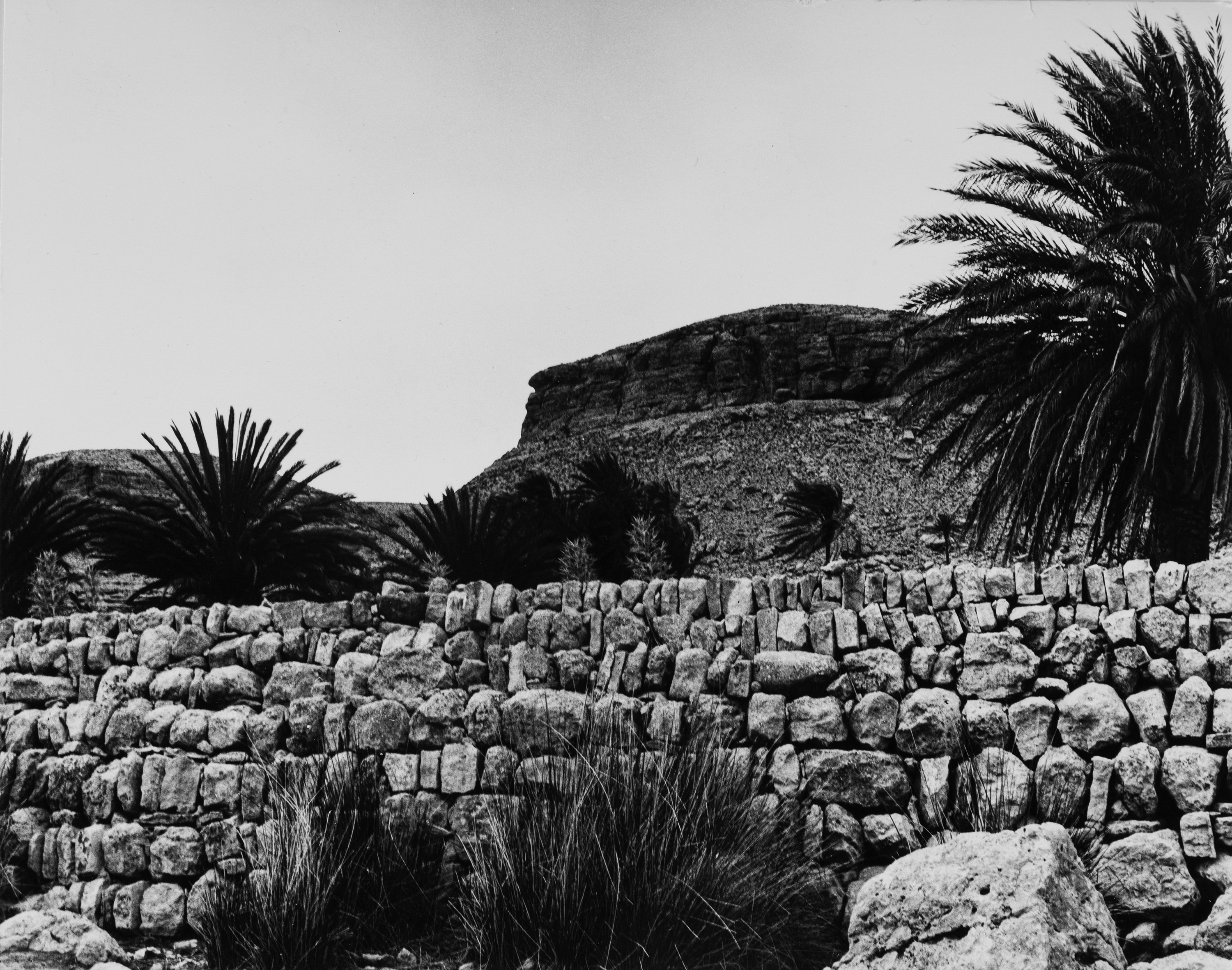 Vittorio Garatti - Senza Titolo