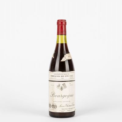 Thomas Bassot Bourgogne