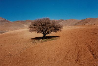Senza titolo, C-print vintage, 2000