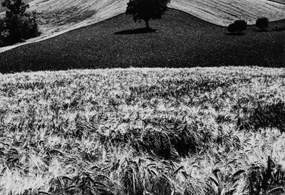 Senza Titolo (paesaggio)