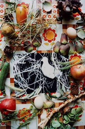 Untitled (Still life)