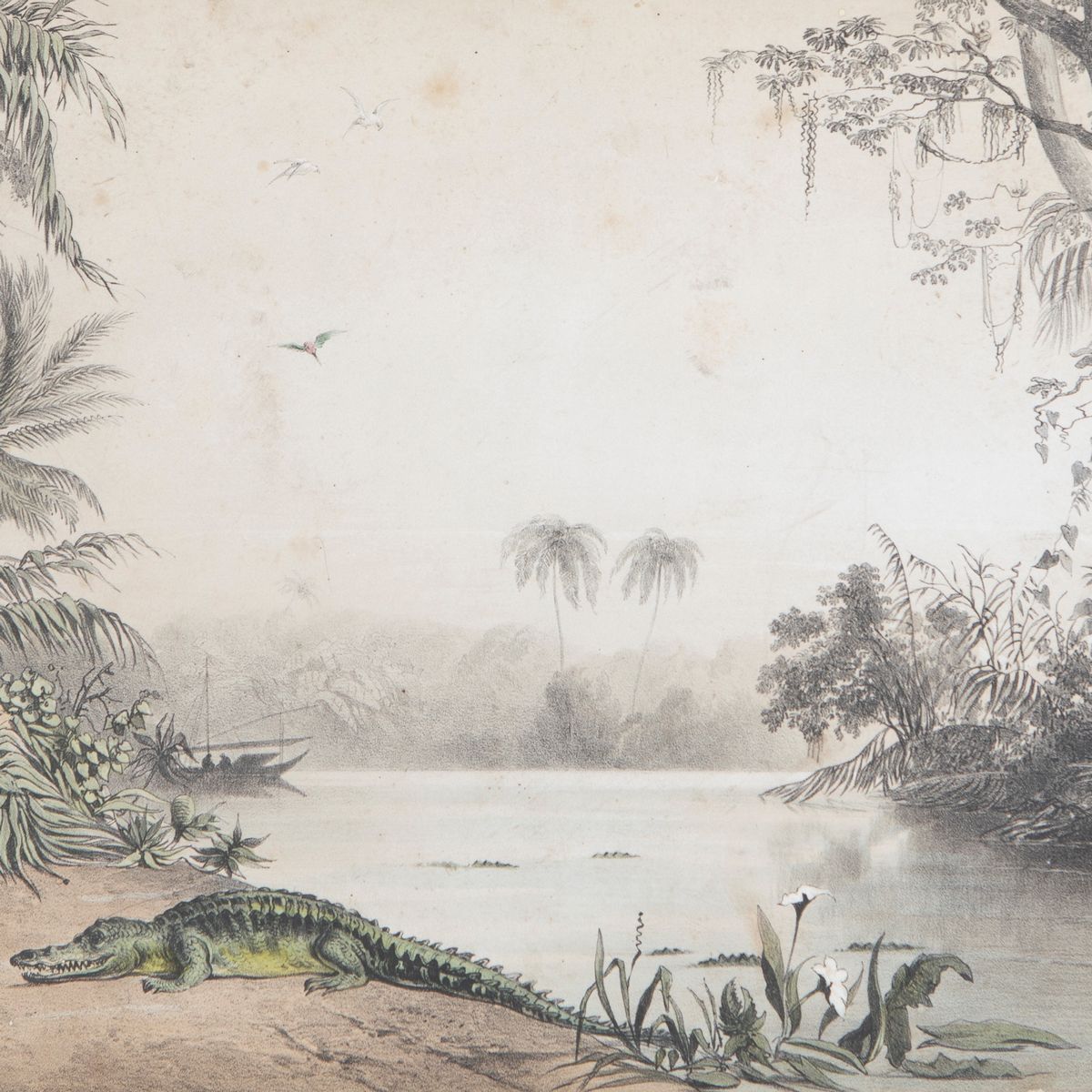 Lotto Composto da Cinque Stampe dalla Serie Reise Des Grafen Emanuel Andrasy in Ostindien Ceylon,...