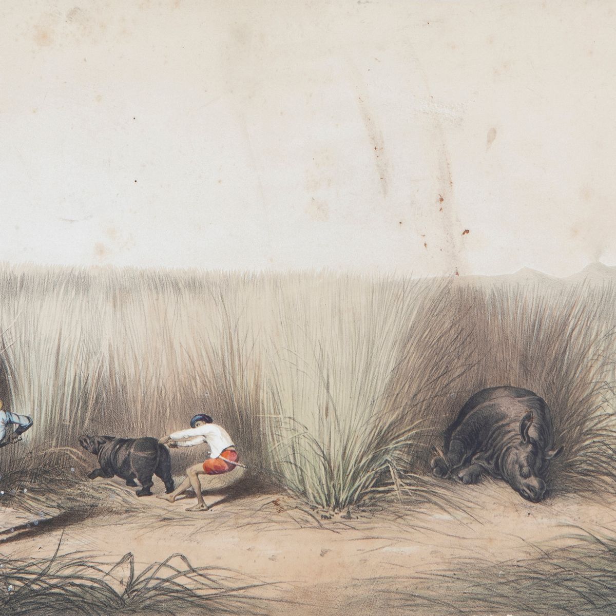 Lotto Composto da Cinque Stampe dalla Serie Reise Des Grafen Emanuel Andrasy in Ostindien Ceylon,...