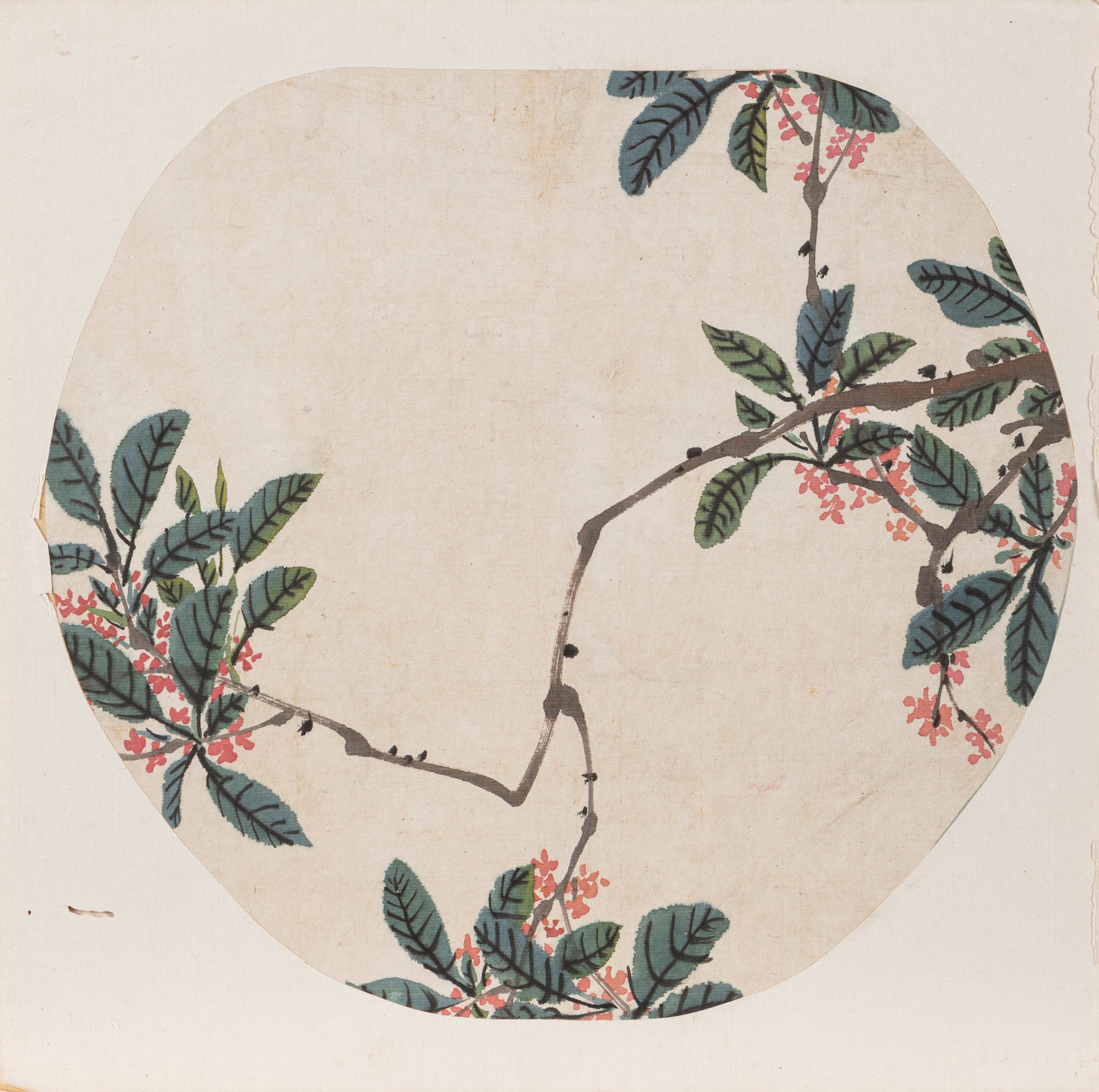 Sei dipinti raffiguranti volatili e motivi naturalistici