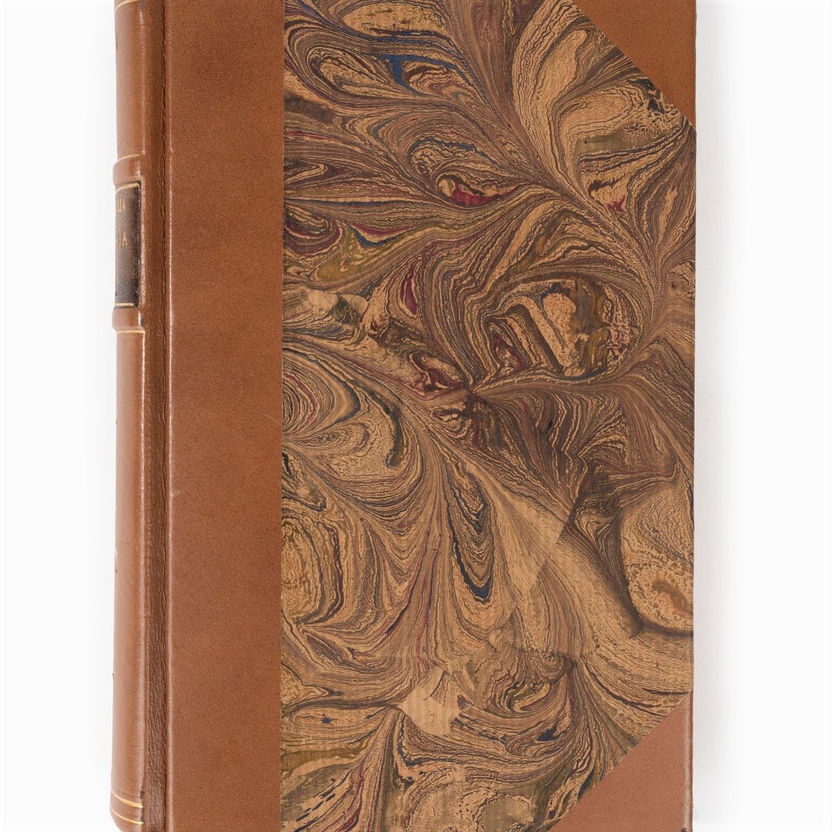 Paolo Mantegazza - Fisionomia e mimica. Edizione originale con più di cento disegni originali di ...
