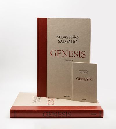 Genesis - Edizione limitata con due volumi e box originale