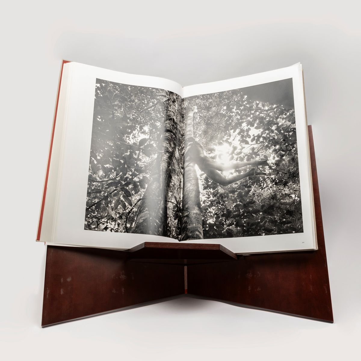 Sebastião Salgado - Genesis - Edizione limitata con due volumi e box originale