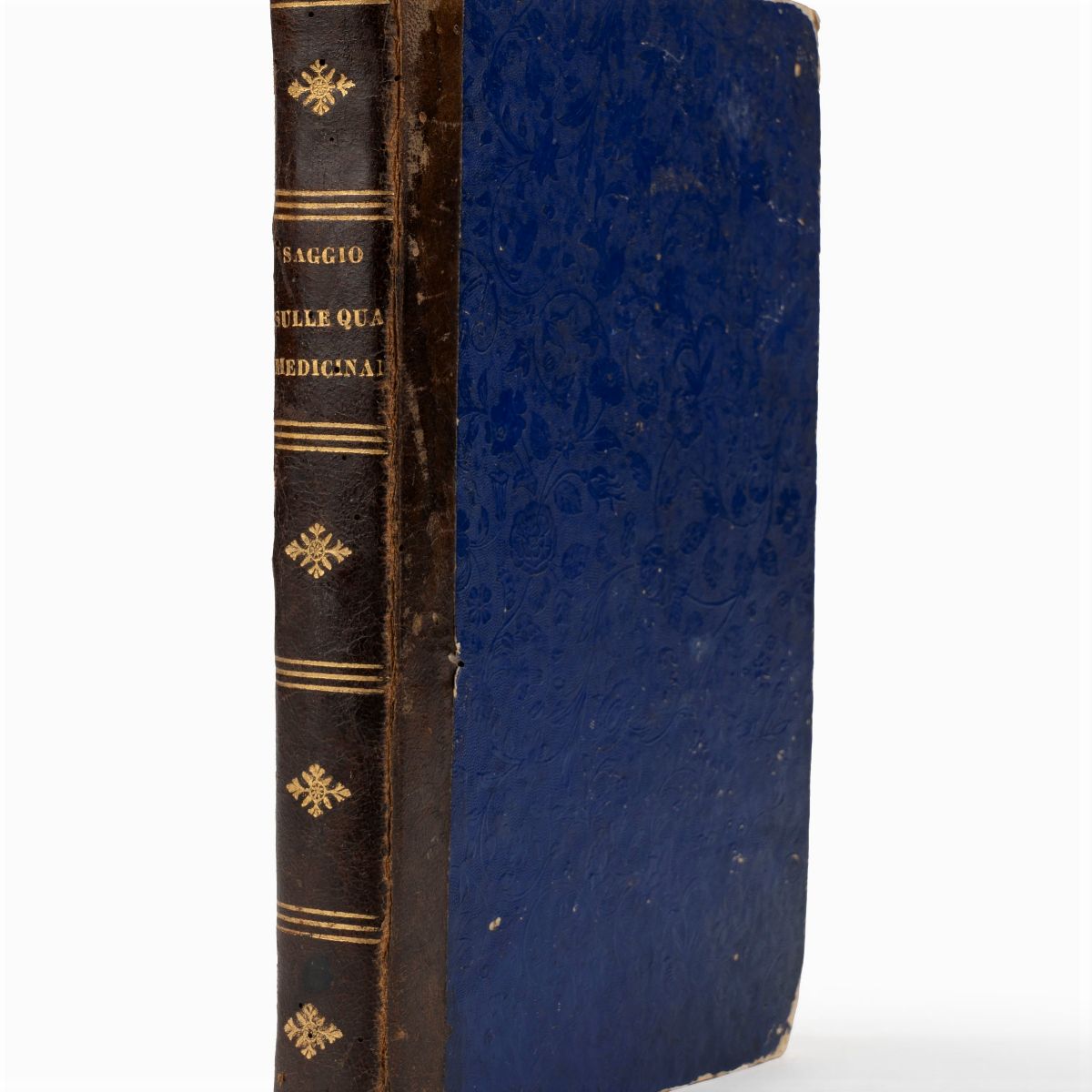 Michele Tenore - Saggio sulle qualità medicinali delle piante della flora napolitana, 1820