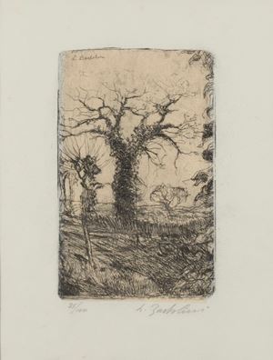 La quercia bella